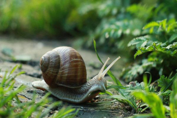 Ciência Pacífica Labzero (Maternais II e Jardins)